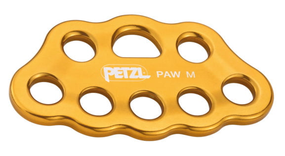 Paw